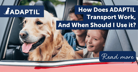 How Does ADAPTIL Transport Work, And When Should I Use it?