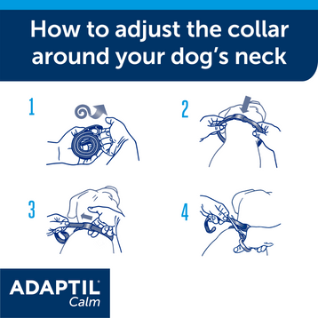 ADAPTIL Calm Collar