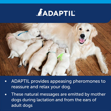 ADAPTIL Calm Collar