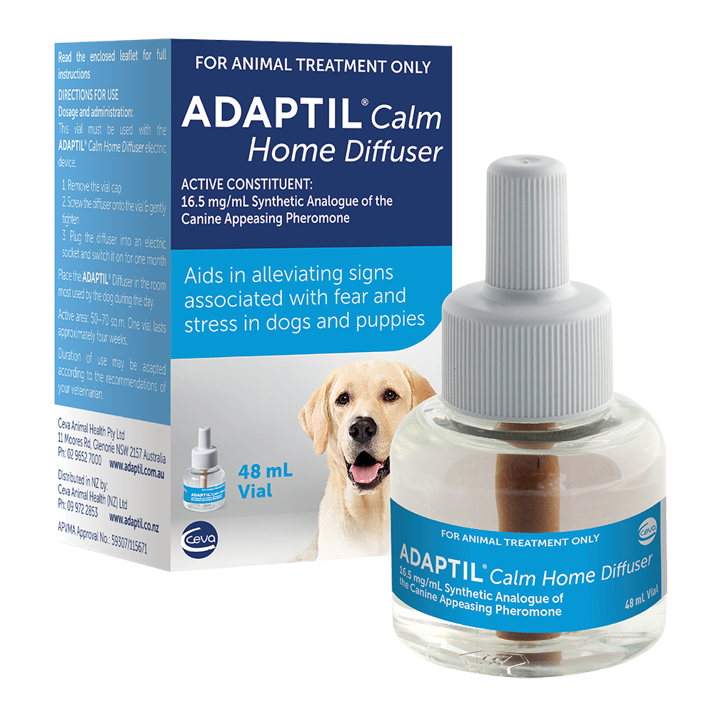 Medication to calm dog anxiety hotsell