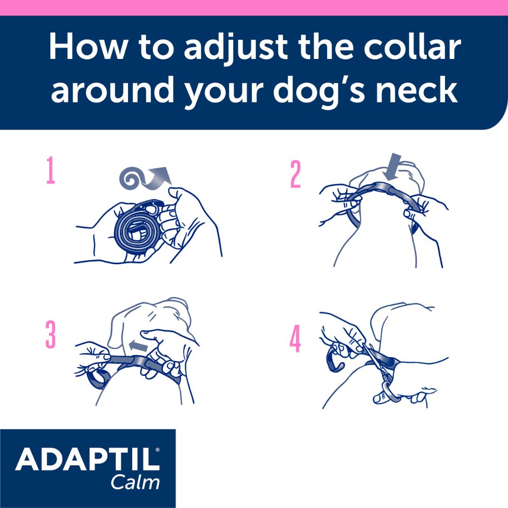 ADAPTIL Junior Collar