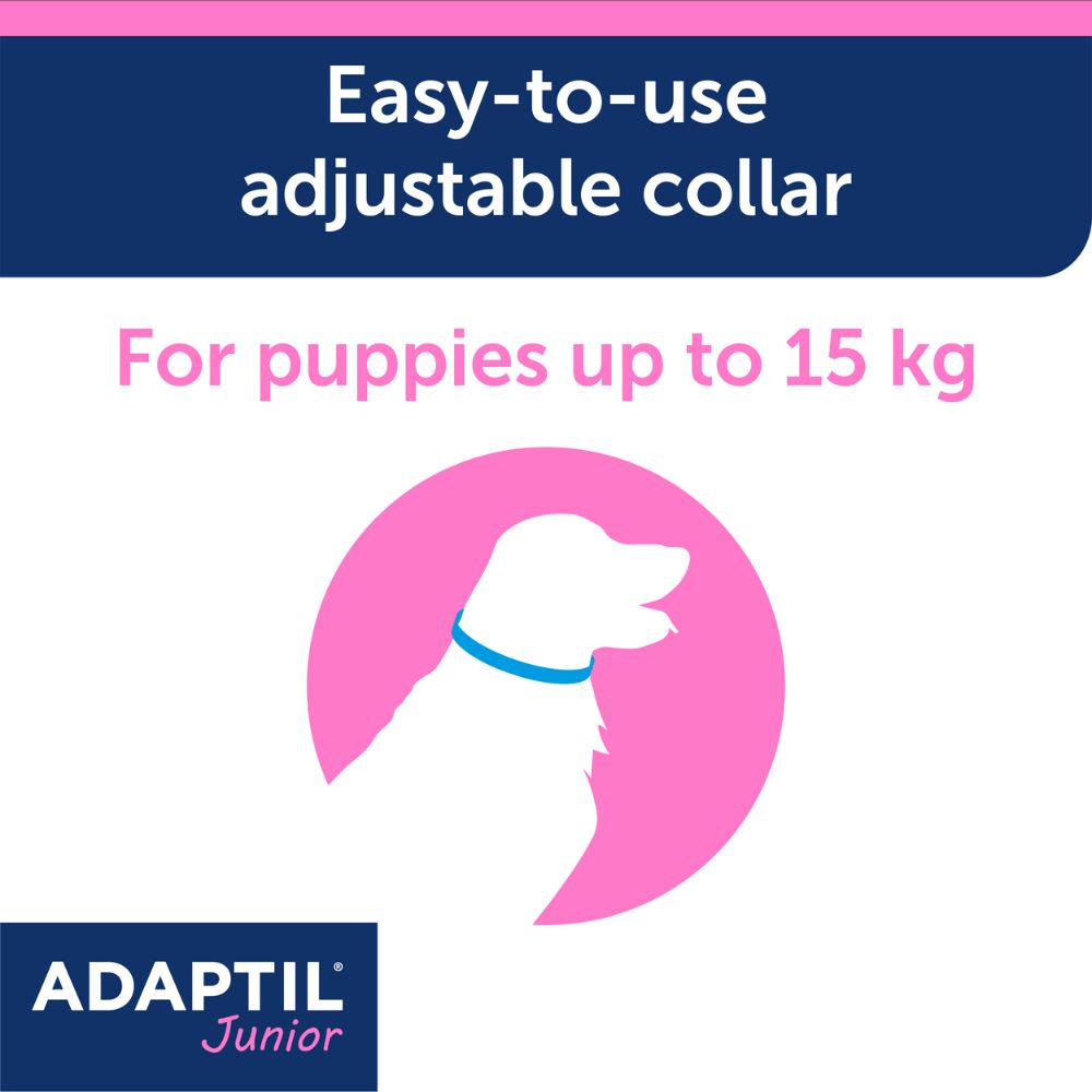 ADAPTIL Junior Collar