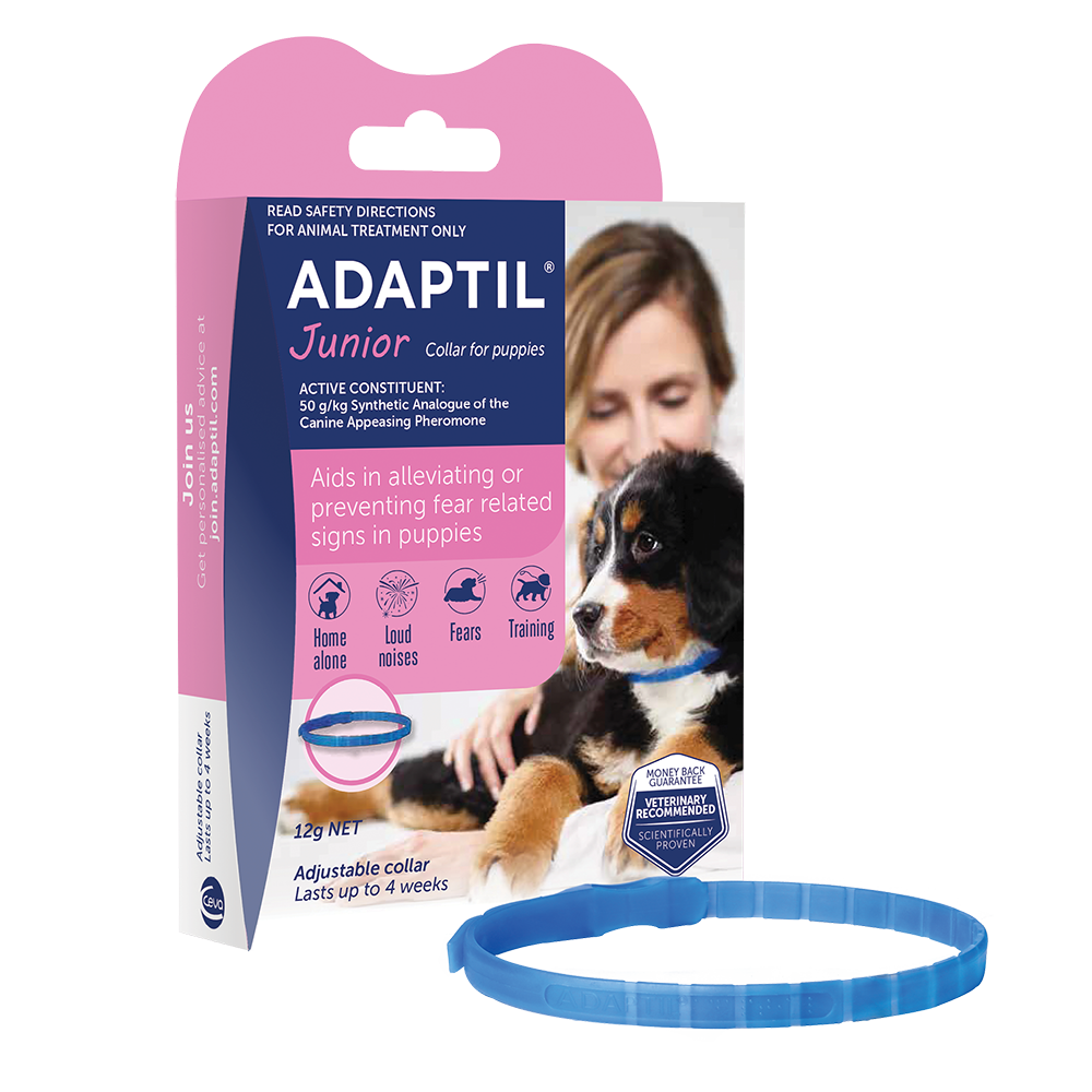 ADAPTIL and ThunderShirt Experts in Dog Well being