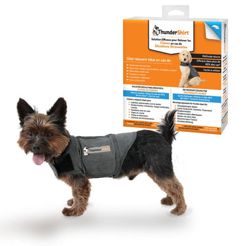 Dog thunder jacket australia best sale